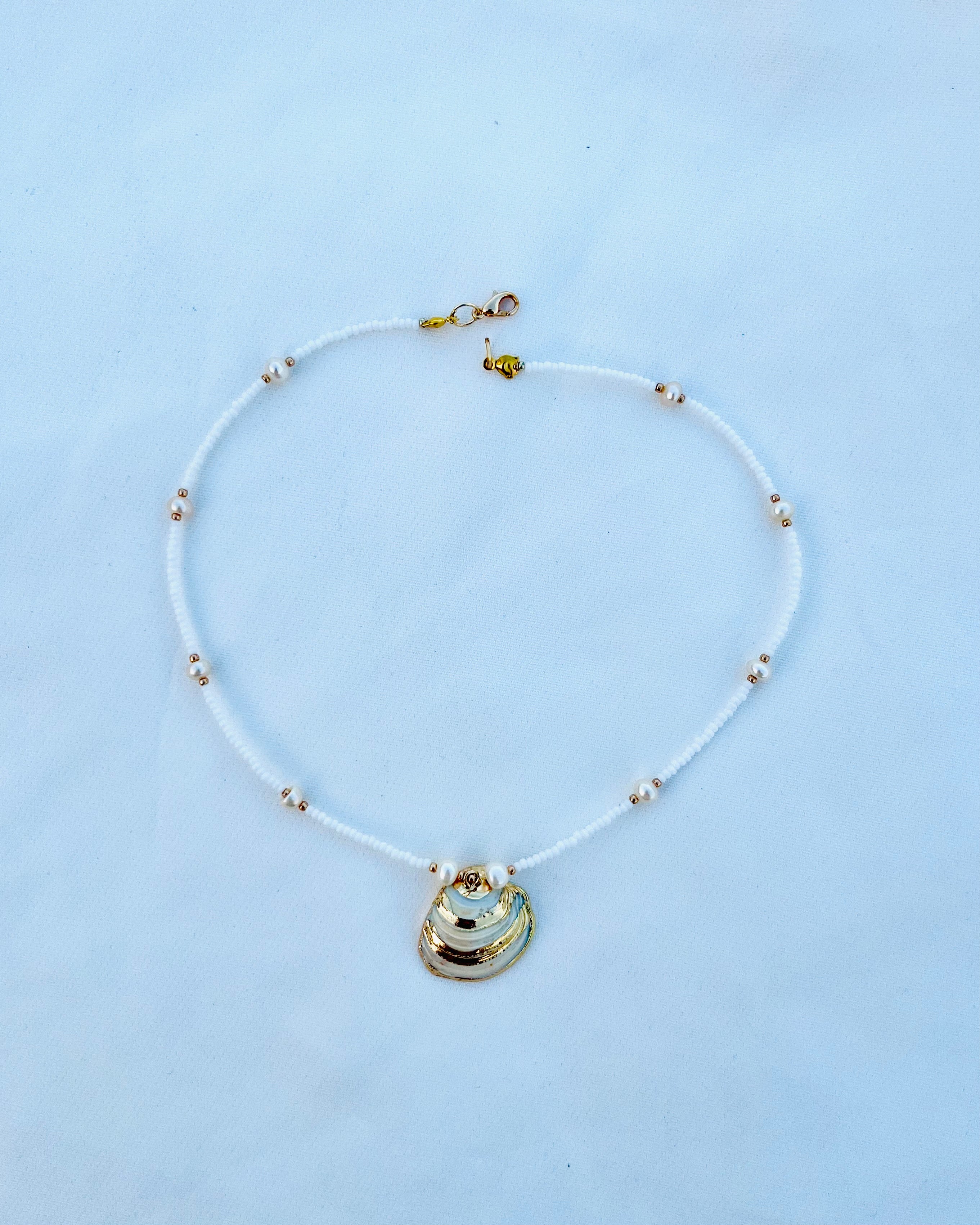 All the feels 🍷💍🐚